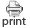 print icon